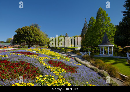 Spring Flowers, Pollard Park, Blenheim, Marlborough, South Island, New Zealand Stock Photo