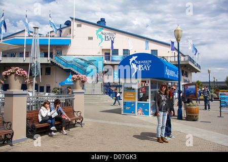 Aquarium of the Bay. San Francisco, California Stock Photo