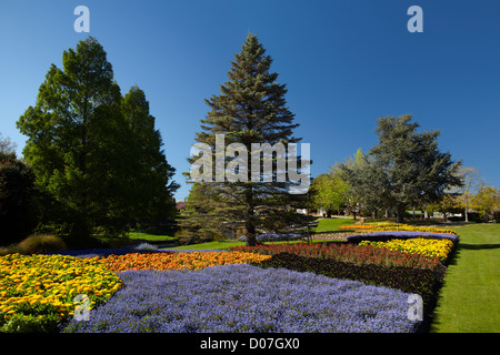 Spring Flowers, Pollard Park, Blenheim, Marlborough, South Island, New Zealand Stock Photo