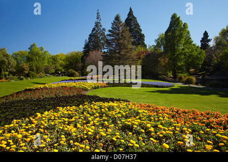 Spring Flowers, Pollard Park, Blenheim, Marlborough, South Island, New Zealand Stock Photo