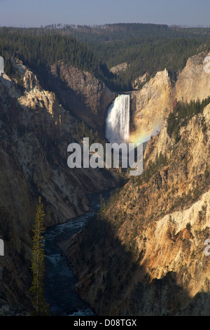 Rainbow over Lower Falls from Artists Point, Grand Canyon of the Yellowstone River, Yellowstone National Park, Wyoming, USA Stock Photo