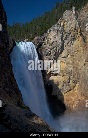 Lower Falls from Uncle Tom's Point, South Rim, Grand Canyon of the Yellowstone River, Yellowstone National Park, Wyoming, USA Stock Photo