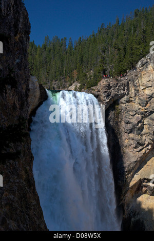 Lower Falls from Uncle Tom's Point, Grand Canyon of the Yellowstone River, Yellowstone National Park, Wyoming, USA Stock Photo