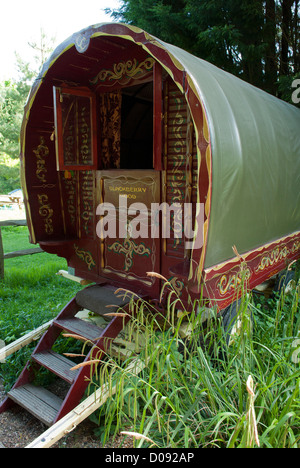 The gypsy caravan, Blackberry Wood, East Sussex, England. Stock Photo