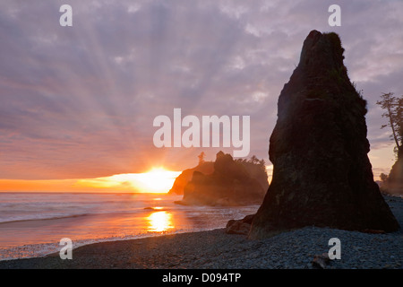WA06662-00...WASHINGTON - Sunset at Ruby Beach on the Pacific Coast in Olympic National Park. Stock Photo