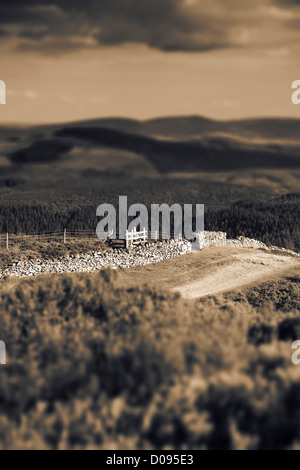 Offa's Dyke Path passing through the Clwydian Range in North Wales close to Moel Famau the highest peak in the range, Denbighshire, Wales, UK Stock Photo