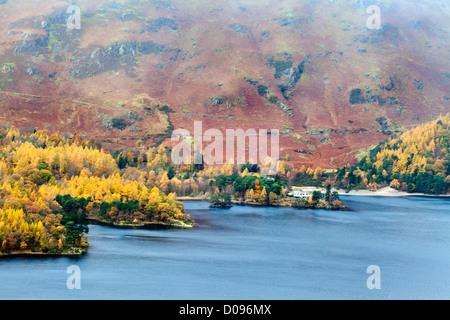 Autumn Larch Trees on the Derwentwater Shore below Catbells from Surprise View near Grange Cumbria England Stock Photo