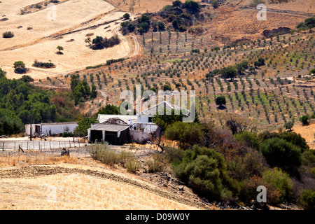 cozy Spanish villa among olive trees Stock Photo