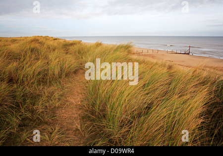 A view of of the beach from the marram covered sand dunes at Horsey, Norfolk, England, United Kingdom. Stock Photo