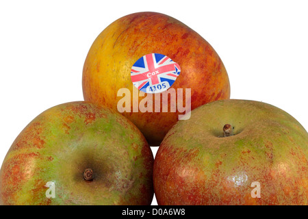 Three Cox's Apples isolated on white background. Stock Photo