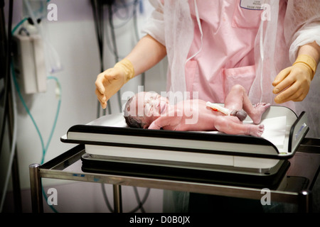 WEIGHT, PREMATURE BABY Stock Photo