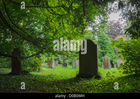Grave Stones on the edge of the woods at Howick Gardens in Northumberland. Stock Photo