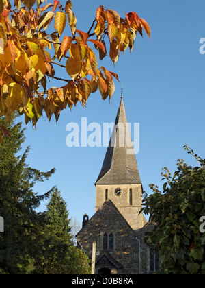 St James' church, Shere, Surrey, England. Stock Photo
