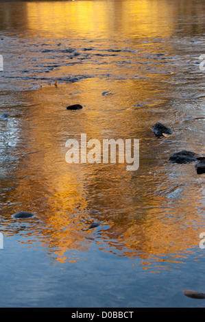 Fall reflection in the Boise river, Boise, Idaho. Stock Photo