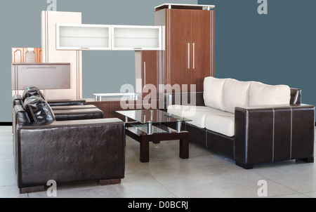 Modern living room with skin sofa, glass table and wardrobe Stock Photo