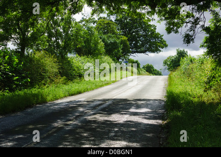 A country lane leading up to the brow of a hill, blind summit, through trees on a sunny day. Stock Photo