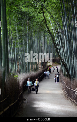 Arashiyama Bamboo Path through the Sagano Bamboo Forest Stock Photo