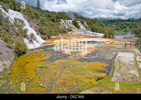 Orakei Korako, The Hidden Valley, near Taupo, New Zealand Stock Photo