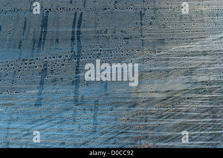 Background from a packing film with water drops. Variant 3. Stock Photo