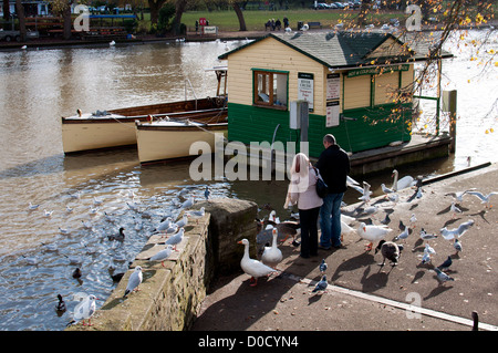 Couple feeding birds by River Avon, Stratford-upon-Avon, UK Stock Photo