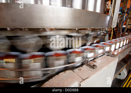 Cans of Tomatoes Speed Through a Tomato Processing Facility Stock Photo