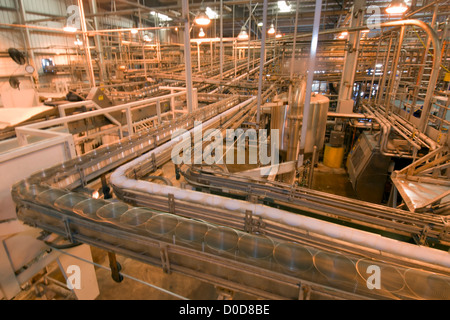 Cans of Tomatoes Speed Through a Tomato Processing Facility Stock Photo