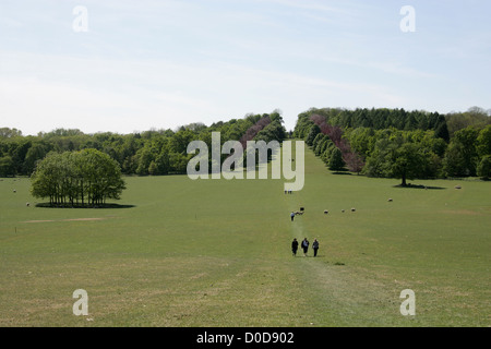 View of the Walkway to the Monument from Ragley Hall, Warwickshire, UK. Stock Photo