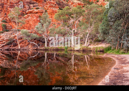 Ghost gum reflections at Ellery Creek Big Hole, West MacDonnell Ranges at sunset west of Alice Springs in the Red Centre of the Northern Territory Stock Photo