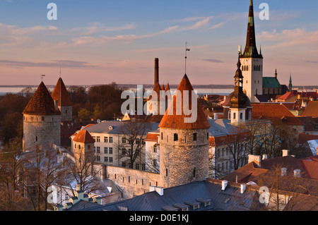 Old Town City View Tallinn Estonia Stock Photo