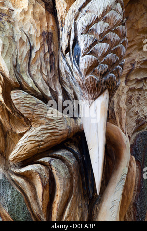 Detail of Kingfisher with Fish Wood Sculpture on Abbey Road Knaresborough North Yorkshire England Stock Photo