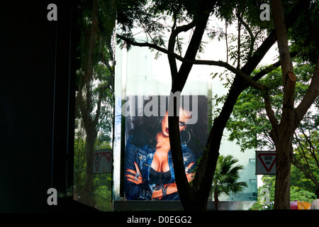 Billboard and trees, Singapore Stock Photo