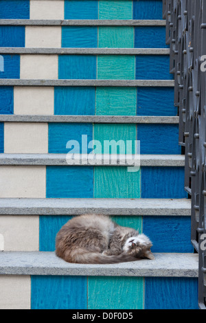 A cat sleeping on a stair in Positano Stock Photo
