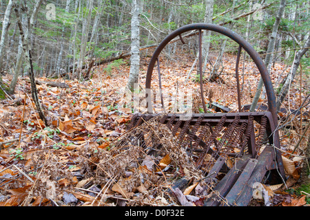 Remnants (artifacts) of a dwelling at the abandoned cabin settlement surrounding Elbow Pond in Woodstock, New Hampshire USA Stock Photo