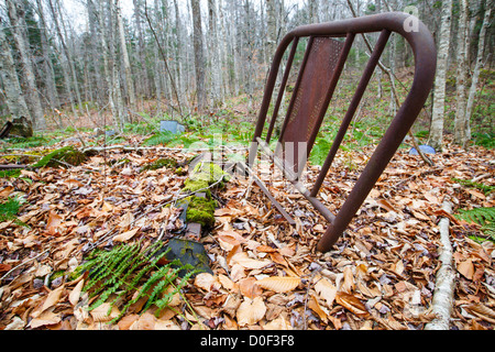 Remnants (artifacts) of a dwelling at the abandoned cabin settlement surrounding Elbow Pond in Woodstock, New Hampshire USA Stock Photo