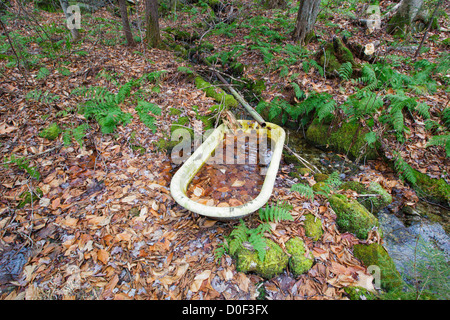 Artifacts from the abandoned cabin settlement surrounding Elbow Pond in Woodstock, New Hampshire USA Stock Photo