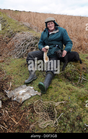 Searching for ferrets down rabbit hole with radio receiver Stock Photo