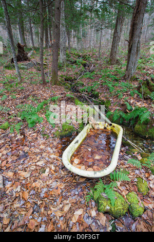 Artifacts from the abandoned cabin settlement surrounding Elbow Pond in Woodstock, New Hampshire USA Stock Photo