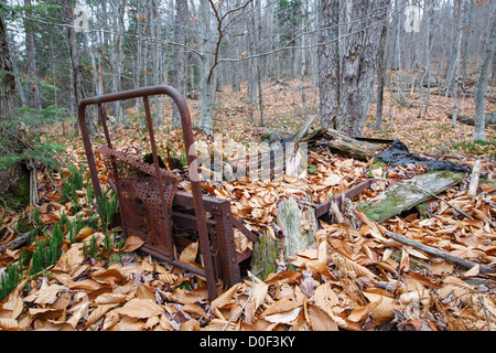 Remnants of a dwelling at the abandoned cabin settlement surrounding Elbow Pond in Woodstock, New Hampshire USA Stock Photo