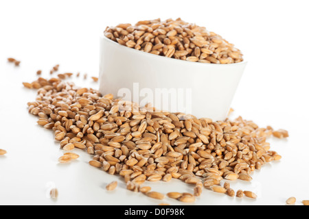 Raw healthy spelt wheat seeds in a white bowl. Stock Photo