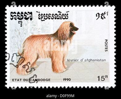 Postage stamp from Cambodia depicting an Afghan hound Stock Photo