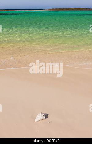 Ocean Beach on Bita Bay on Green Turtle Cay, Bahamas. Stock Photo