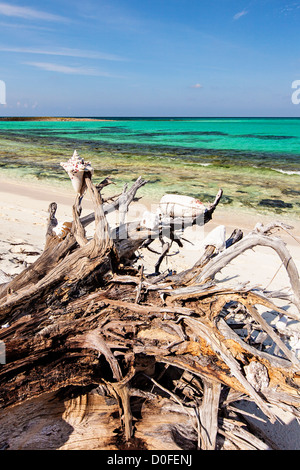 Ocean Beach on Bita Bay on Green Turtle Cay, Bahamas. Stock Photo