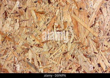 Chipboard texture close-up Stock Photo