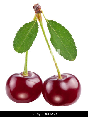Cherries with leaves on a white background. File contains path to cut. Stock Photo