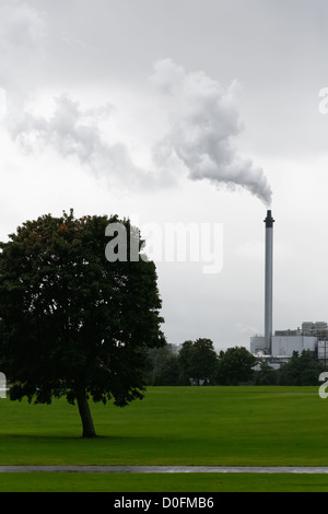 C&C Group plc's Wellpark Brewery - better known as Tennent's  or Tennent's Caledonian (1885) - shown from Glasgow Green Stock Photo