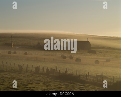 dh  ORPHIR ORKNEY Scottish farmhouse field bales of hay morning mist farm house Scotland autumn landscape farms uk foggy light land Stock Photo