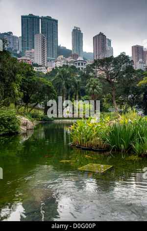 Hong Kong Park, Hong Kong, China Stock Photo