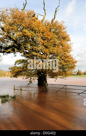 Flooded Farmland Nottinghamshire 2012 . Stock Photo