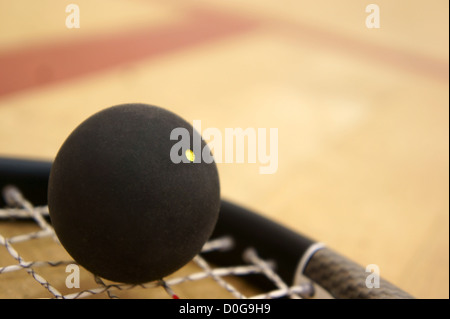 Squash ball on a racket Stock Photo