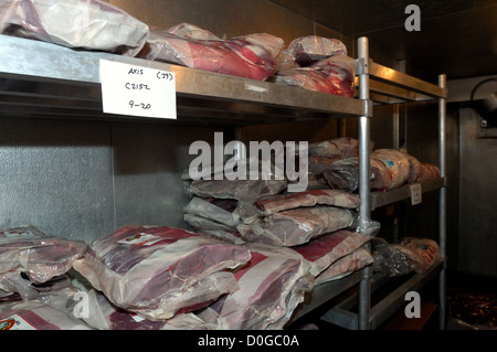 Frozen venison and wild boar at Broken Arrow Ranch in Ingram Texas Stock Photo
